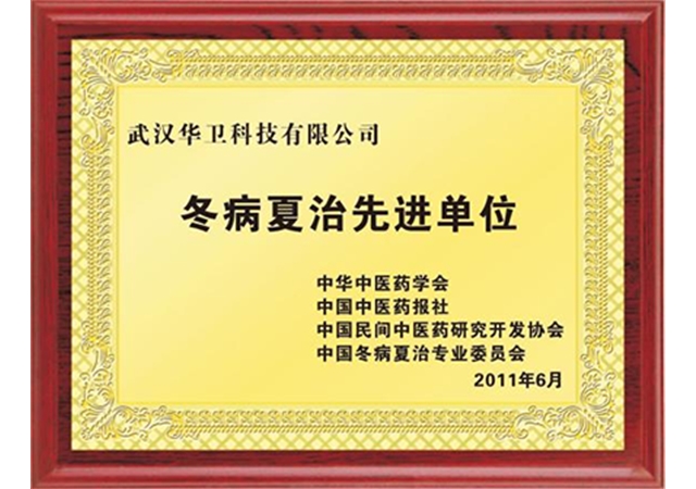 冬病夏治先进单位