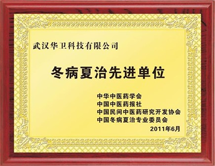 冬病夏治先进单位